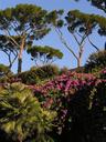 Nearby, the Villa Borghese and its gardens.